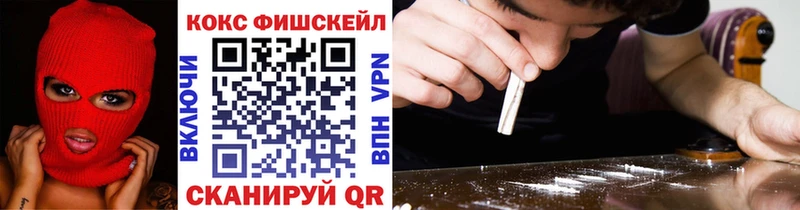 КОКАИН Эквадор  OMG зеркало  Курчалой  где продают  