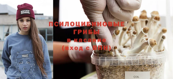 сатива Пестово