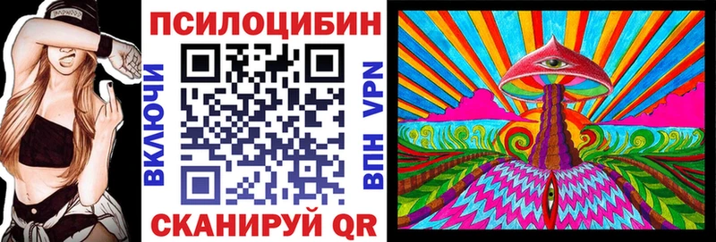 хочу наркоту Курчалой Псилоцибиновые грибы мицелий
