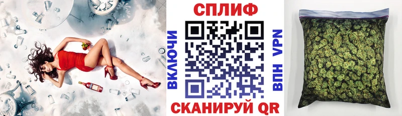 блэк спрут зеркало  Курчалой  Конопля OG Kush 